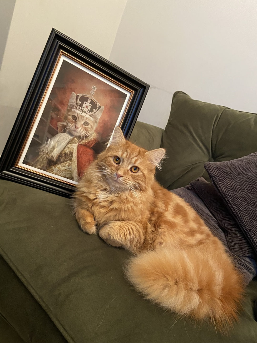 The King - Custom Vintage Pet Portrait