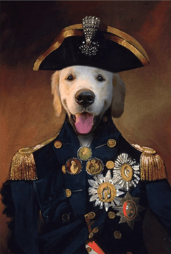 "I see no ships" - The Lord Nelson Pet Portrait is Now Here! | Purr & Mutt