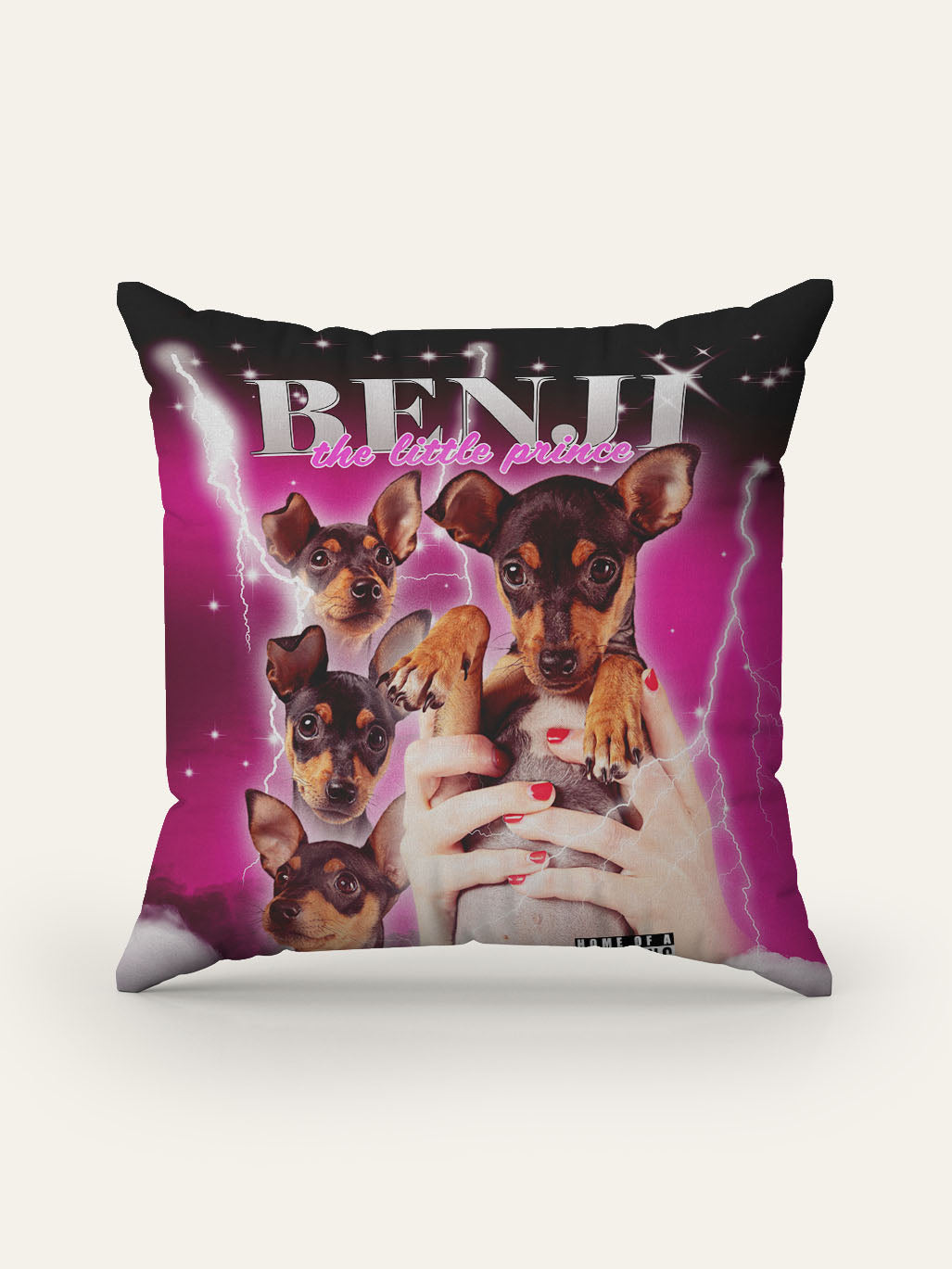 2 Leadz - Custom Pet Cushion