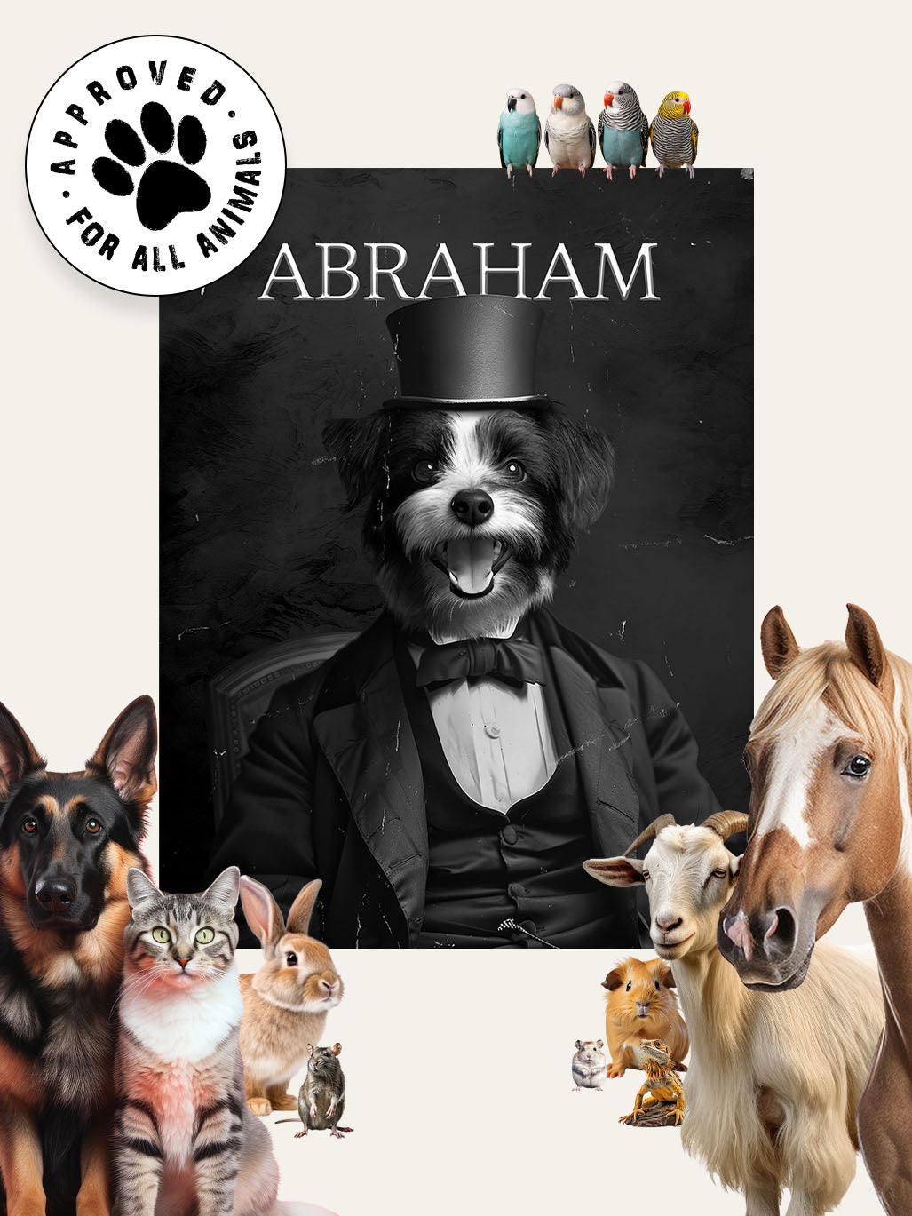 Abraham Lincoln - Custom Pet Blanket