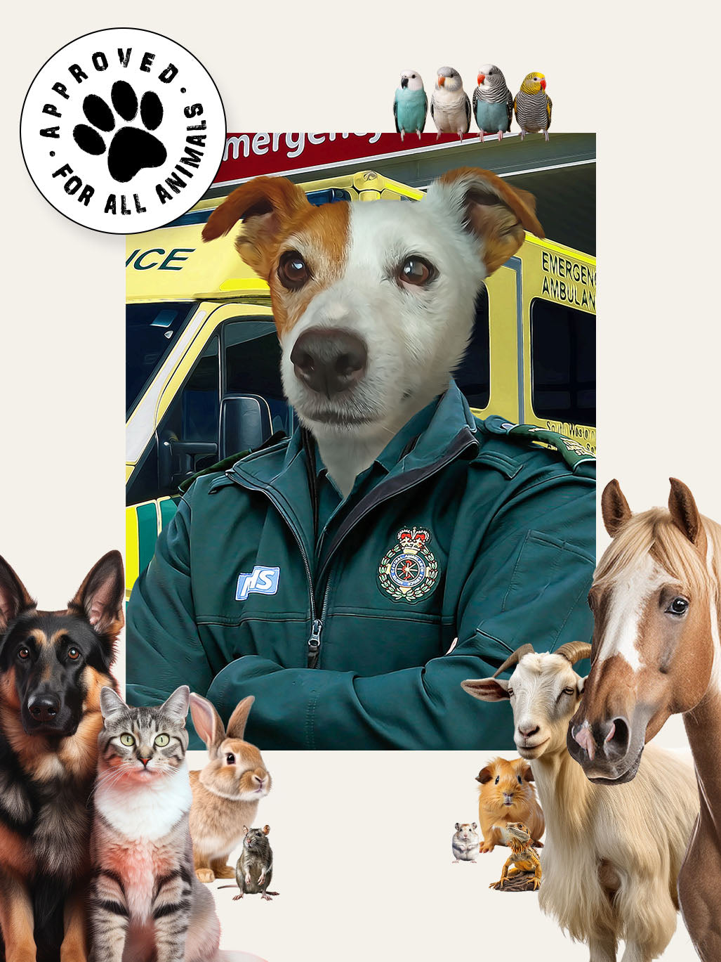 Ambulance Driver - Custom Pet Canvas