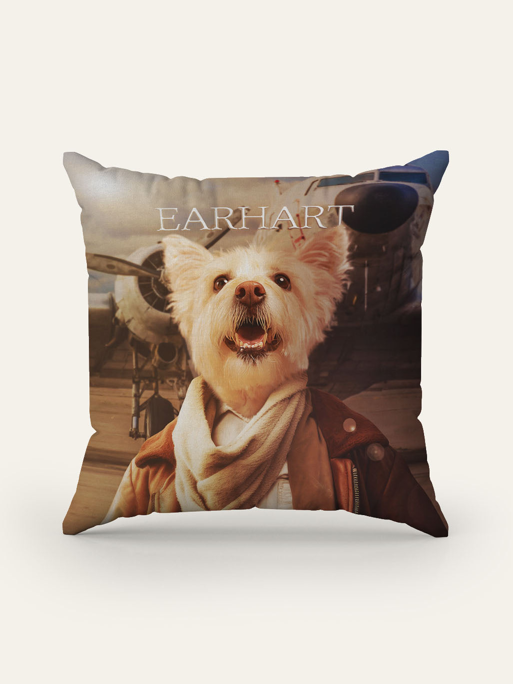 Amelia Earhart - Custom Pet Cushion