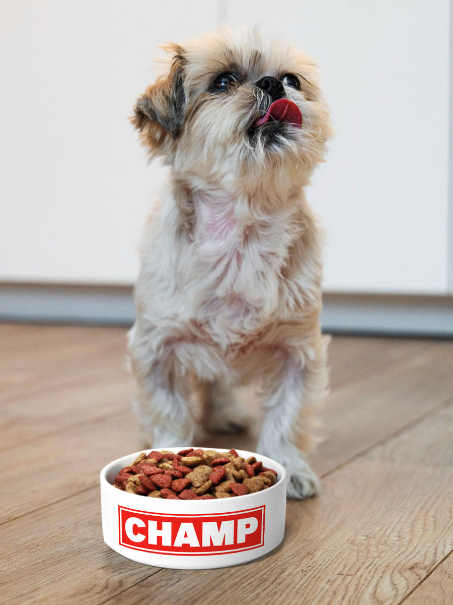 BOLD - Personalised Pet Bowl