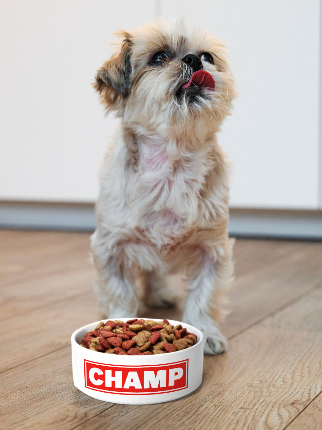 BOLD - Personalised Pet Bowl + Mat Combo