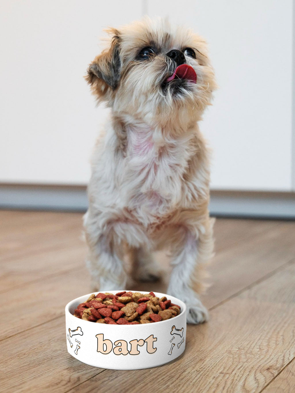 Bones - Personalised Pet Bowl