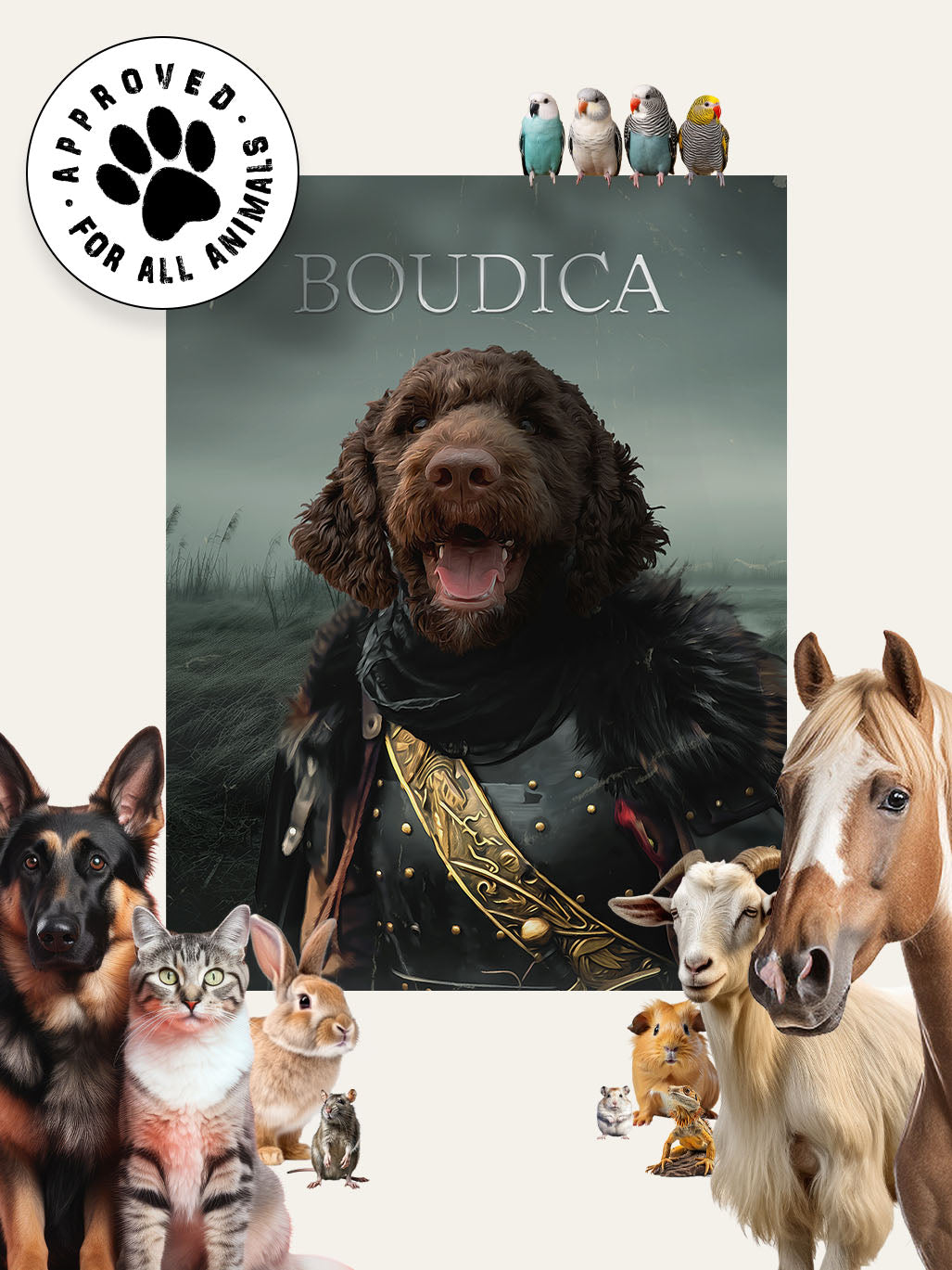 Boudica - Custom Pet Blanket