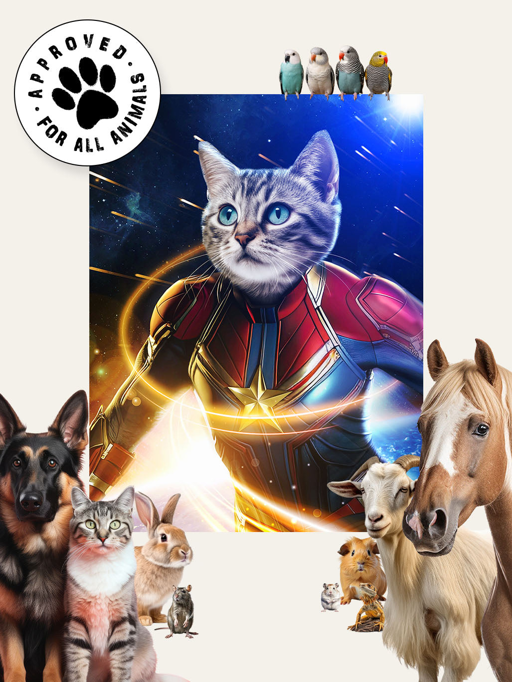 Captain Mighty – Custom Pet Canvas