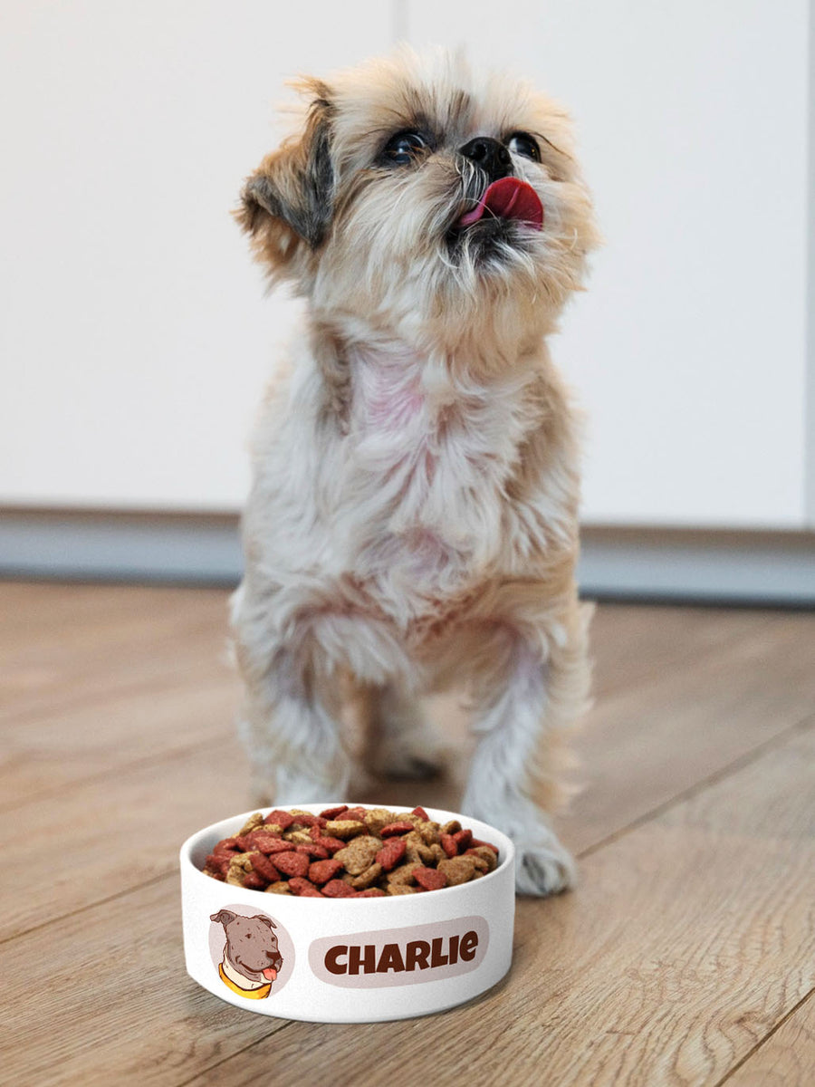 Cartoon - Personalised Pet Bowl