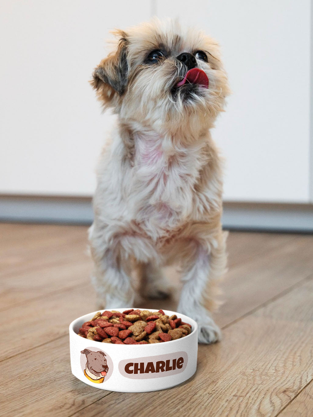 Cartoon - Personalised Pet Bowl + Mat Combo