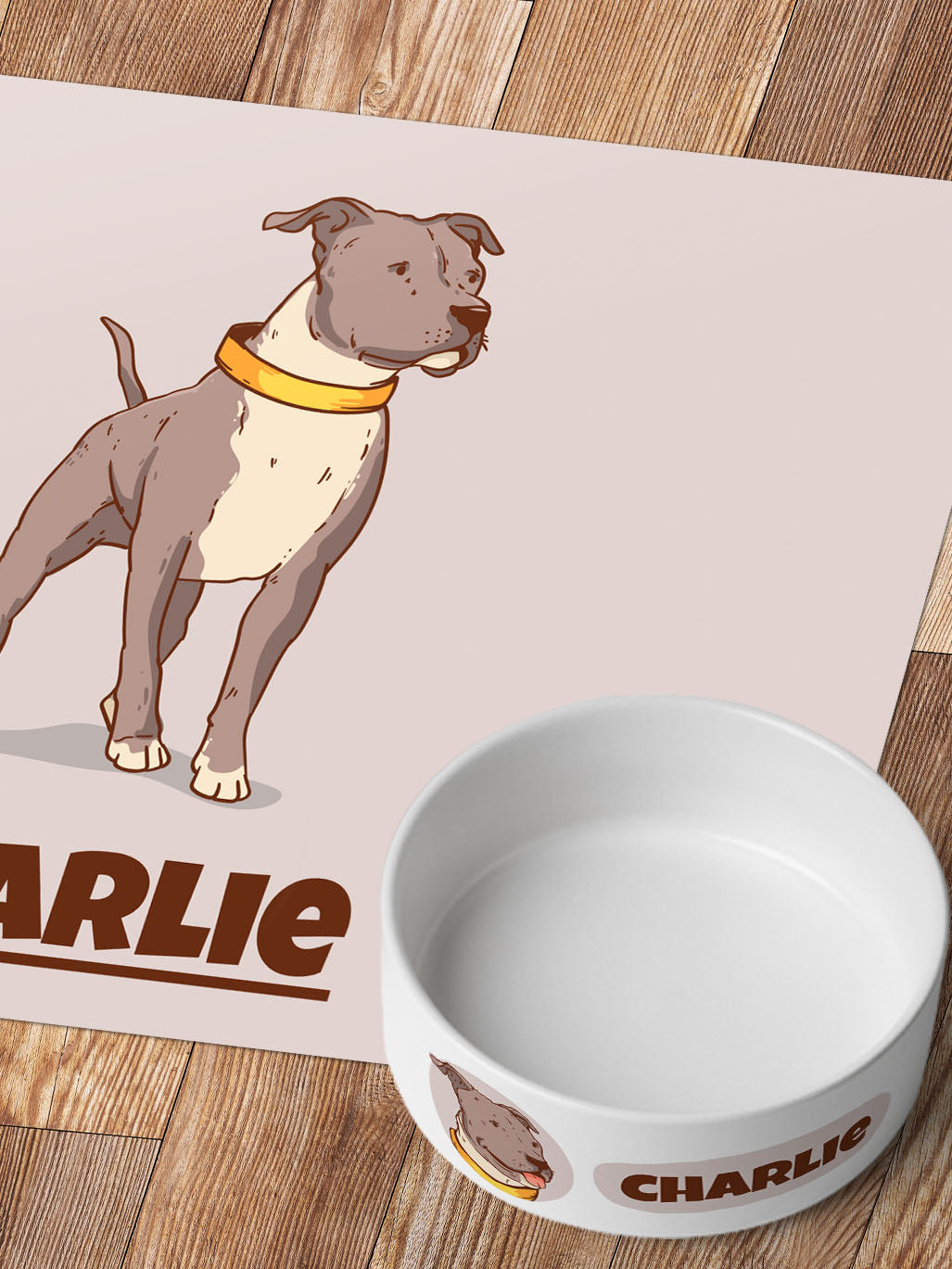 Cartoon - Personalised Pet Bowl + Mat Combo