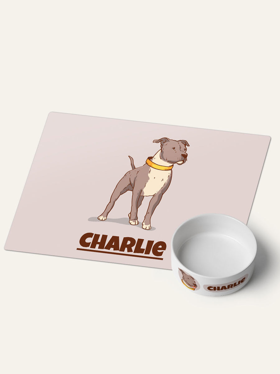 Cartoon - Personalised Pet Bowl + Mat Combo
