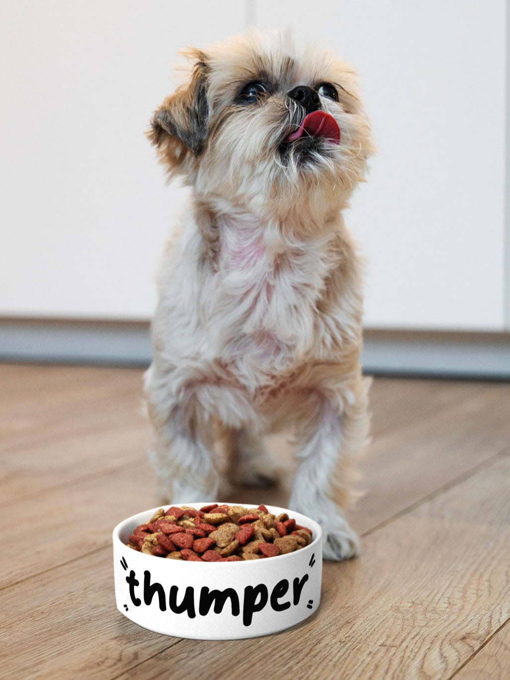 Doodle - Personalised Pet Bowl