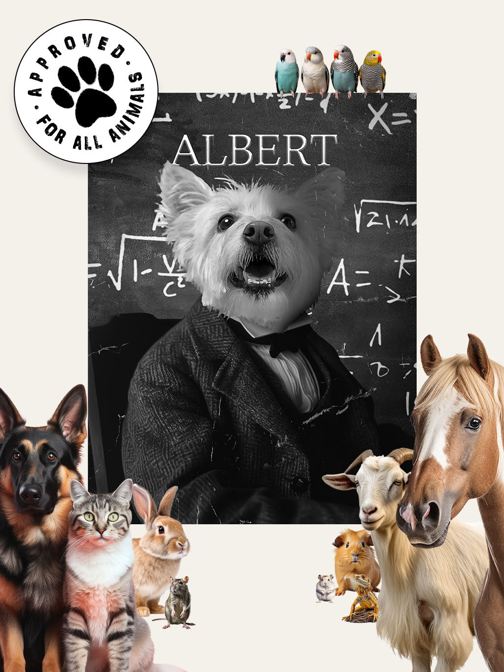 Albert Einstein - Custom Pet Blanket