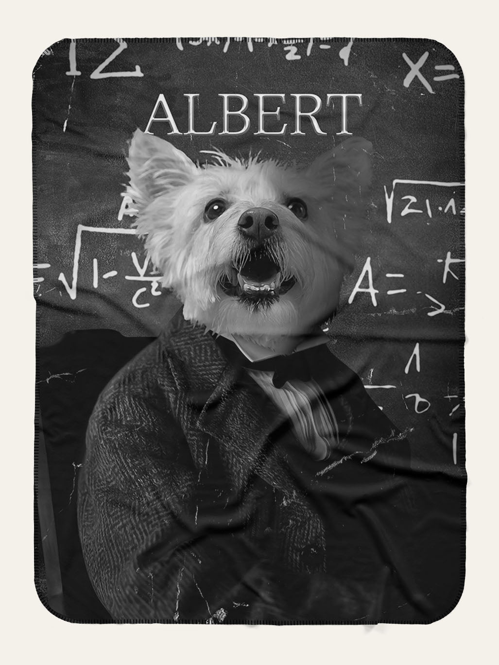 Albert Einstein - Custom Pet Blanket