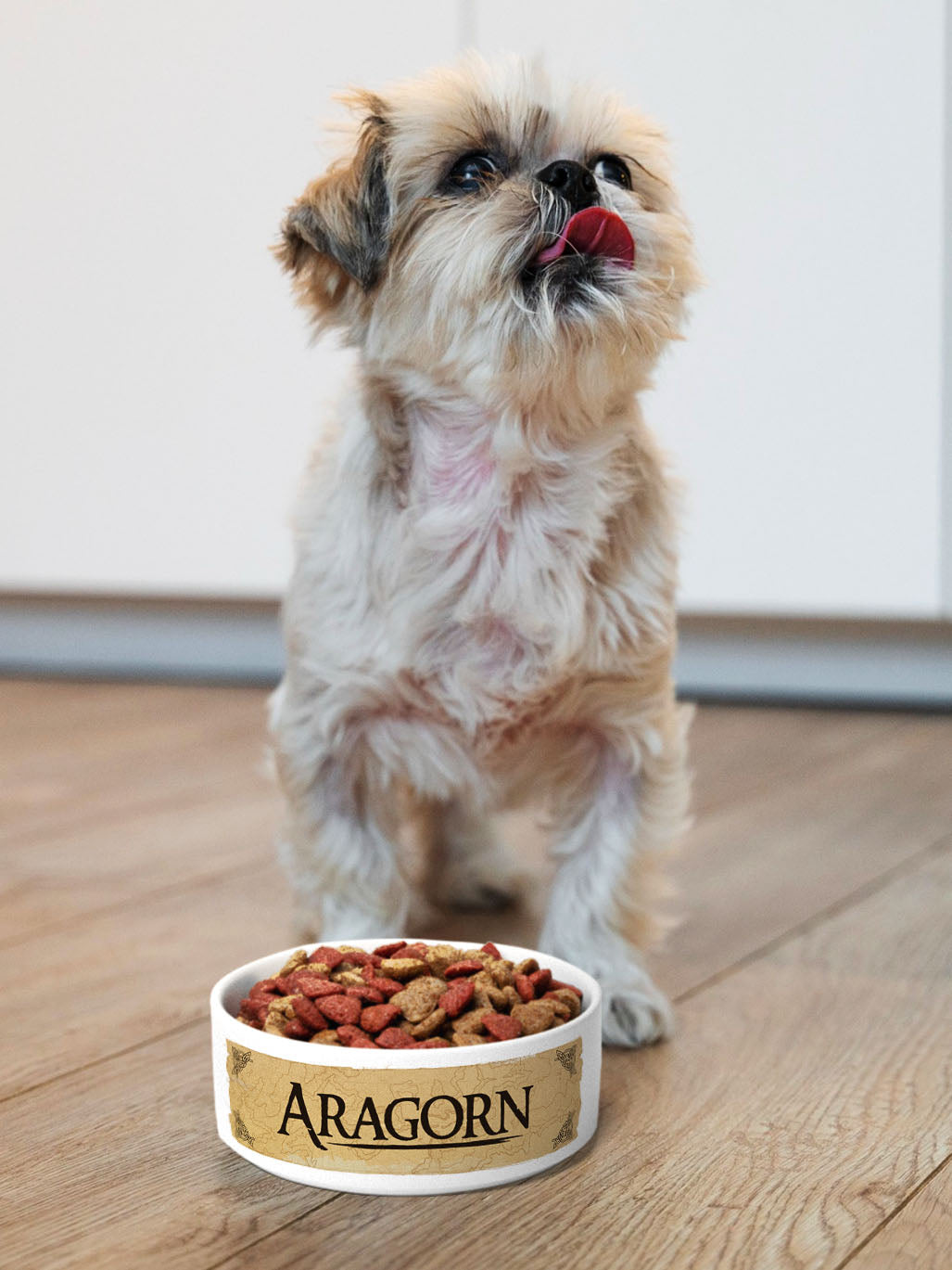 Fantasy - Personalised Pet Bowl