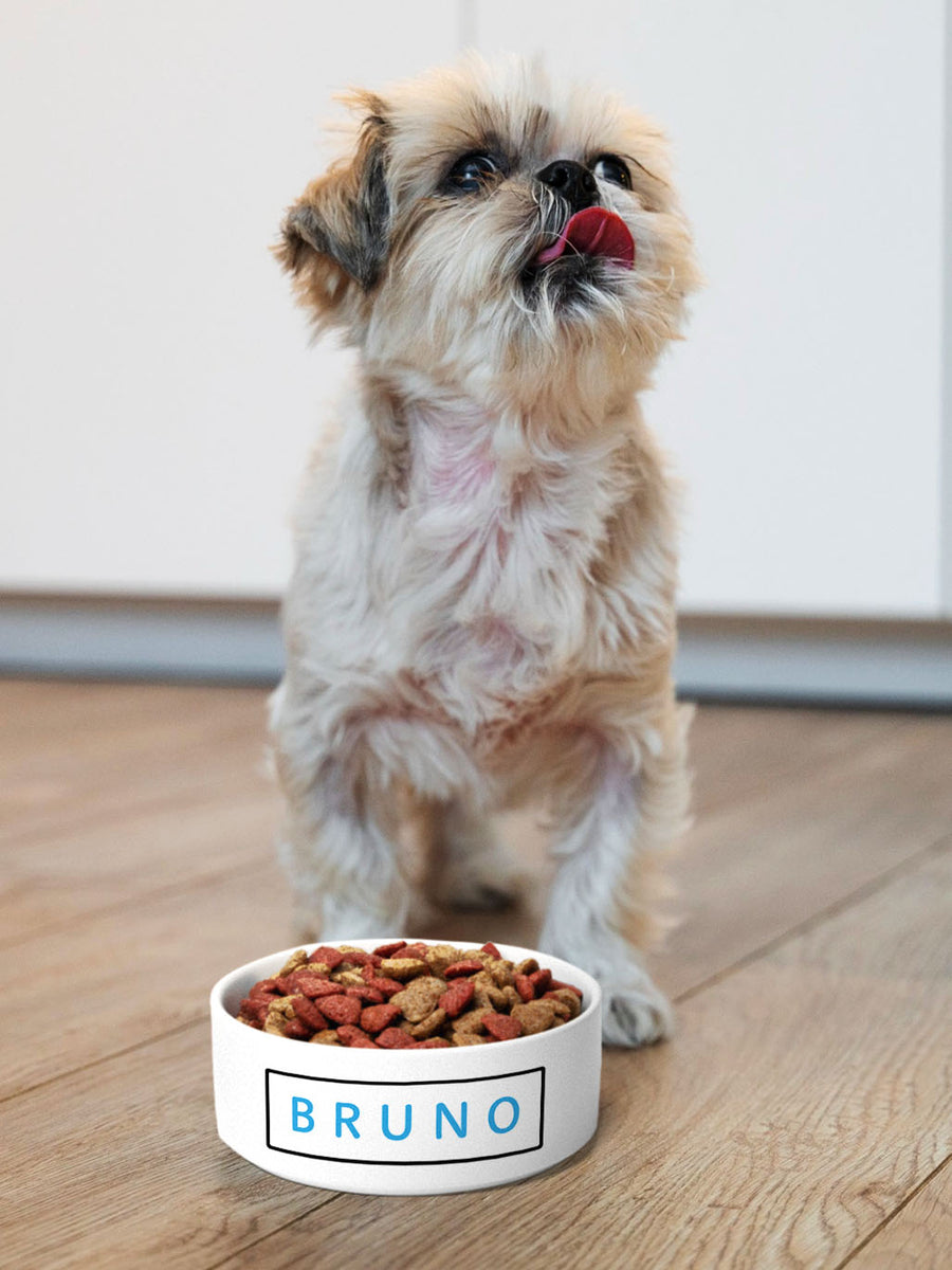 Flamboyant - Personalised Pet Bowl