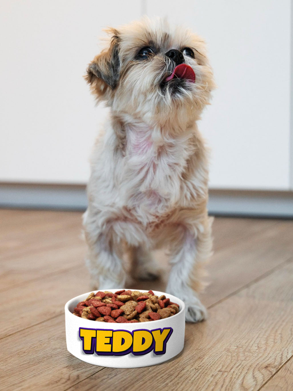 Fun - Personalised Pet Bowl