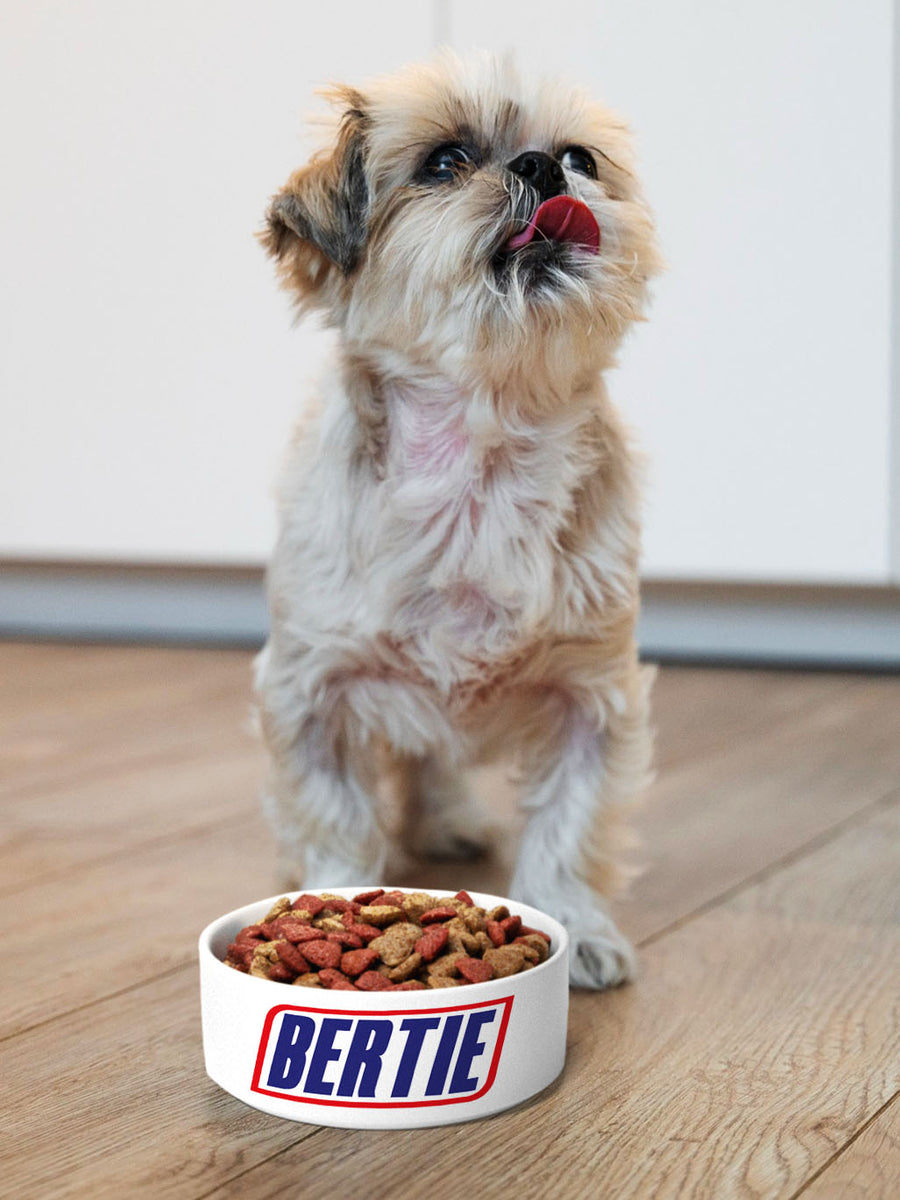 Hungry? - Personalised Pet Bowl