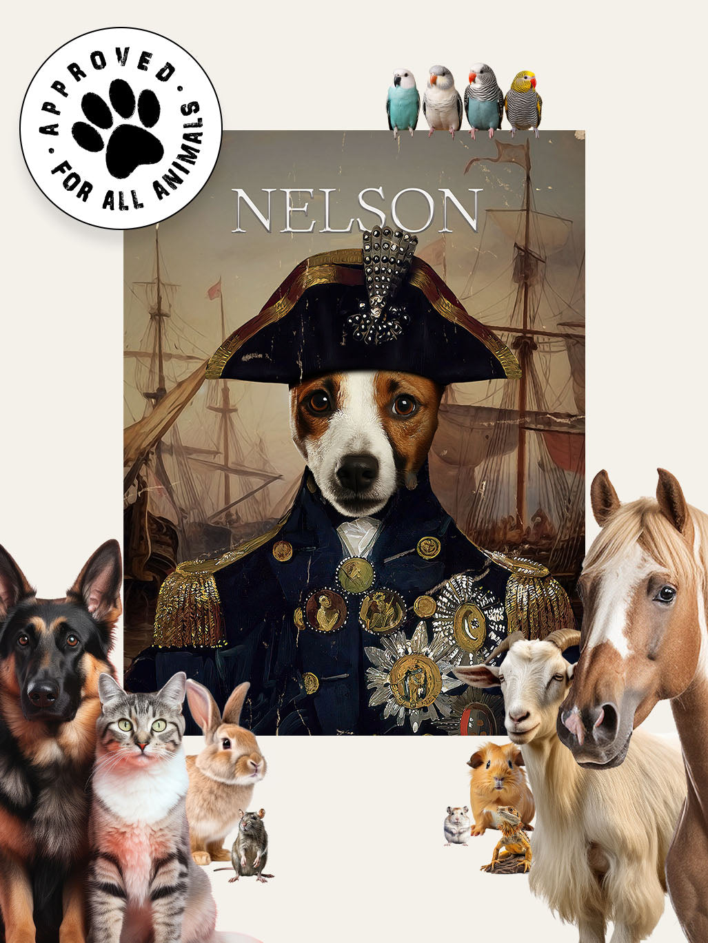 Lord Nelson - Custom Pet Blanket