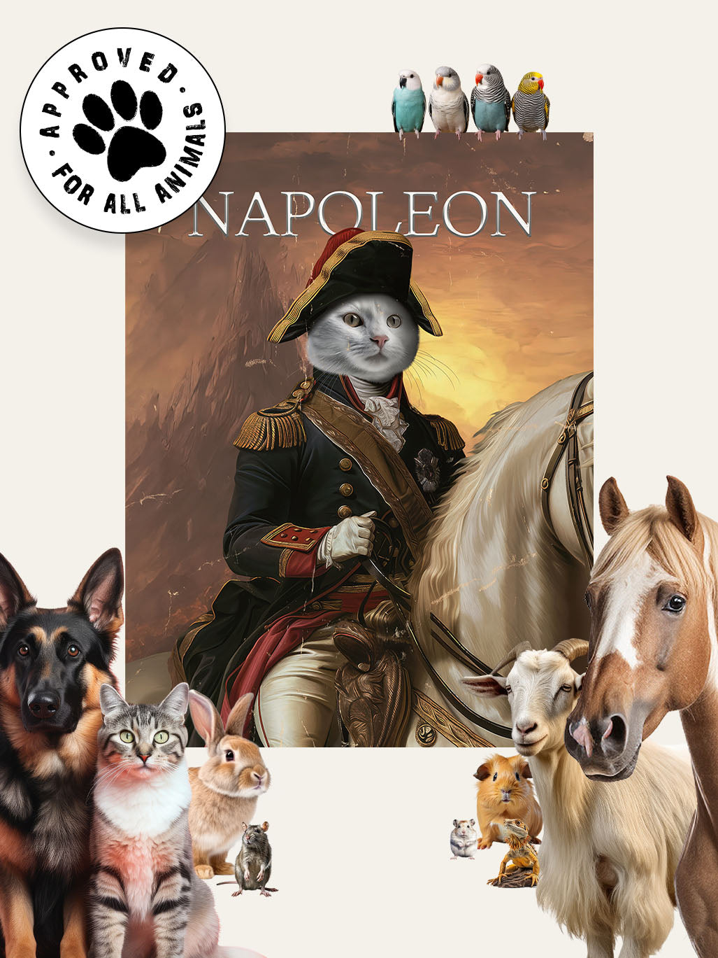 Napoleon - Custom Pet Blanket