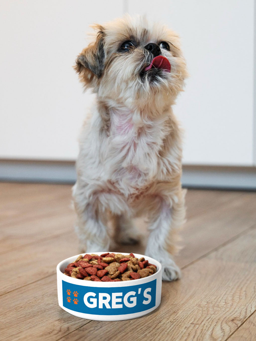 Pasty Lover - Personalised Pet Bowl + Mat Combo