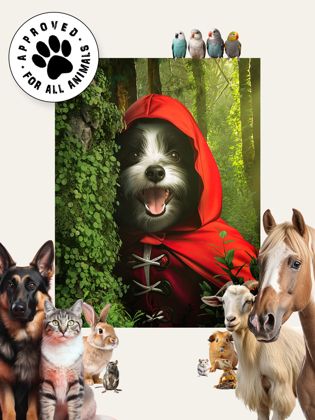 Red Riding Hood – Custom Pet Canvas