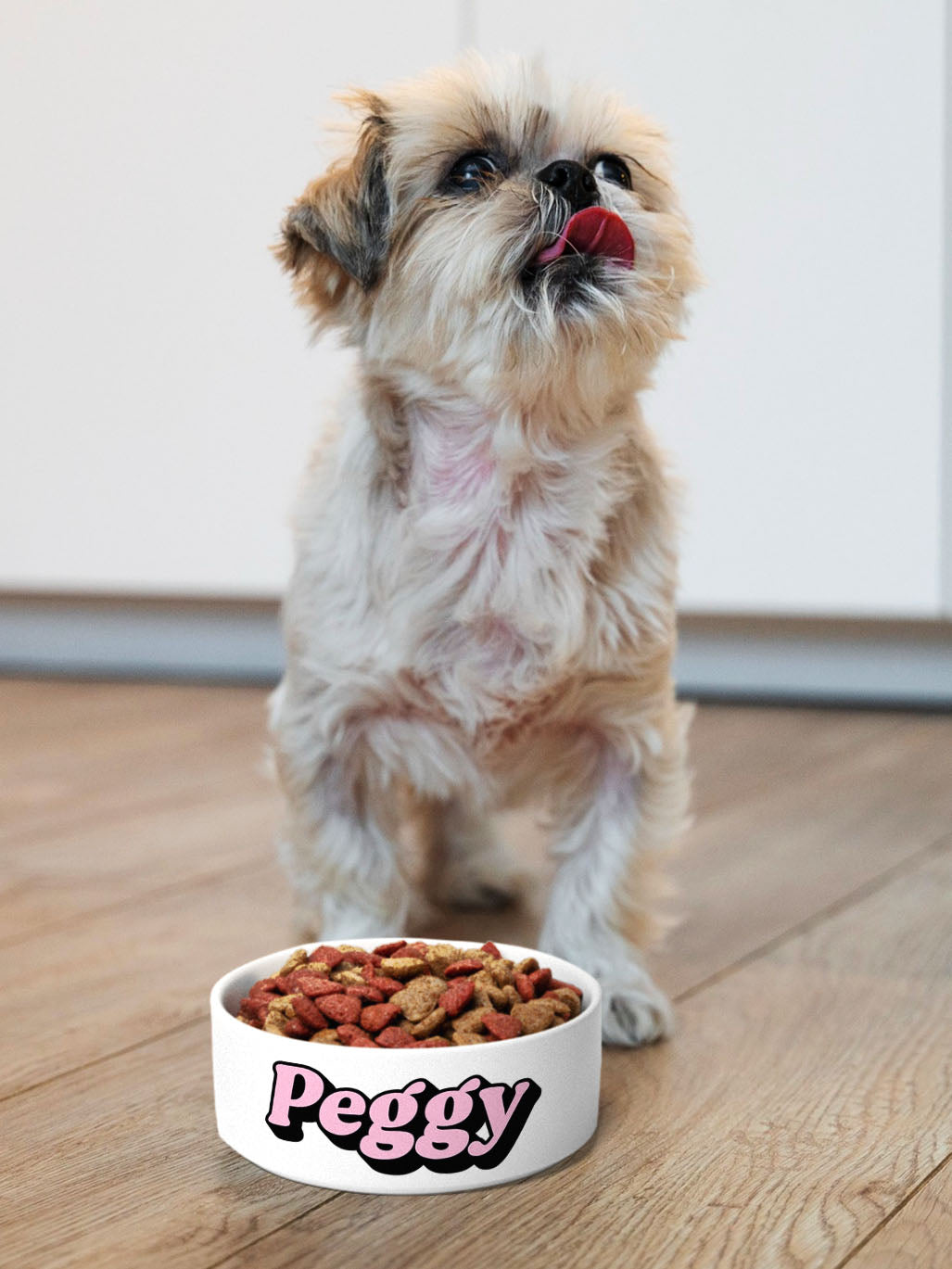 Retro - Personalised Pet Bowl