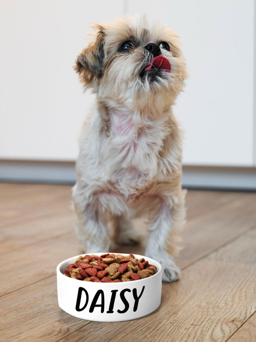 Scribble - Personalised Pet Bowl