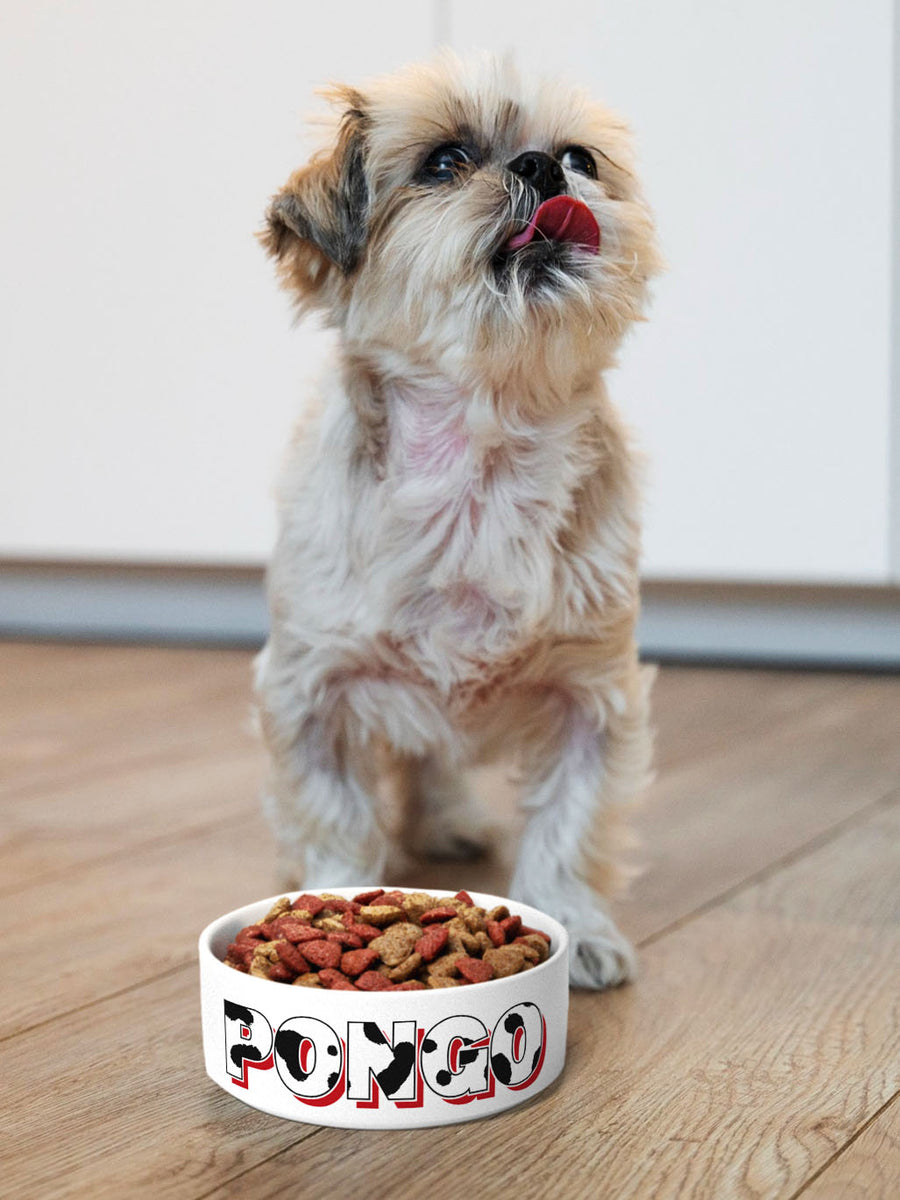 Spotty - Personalised Pet Bowl