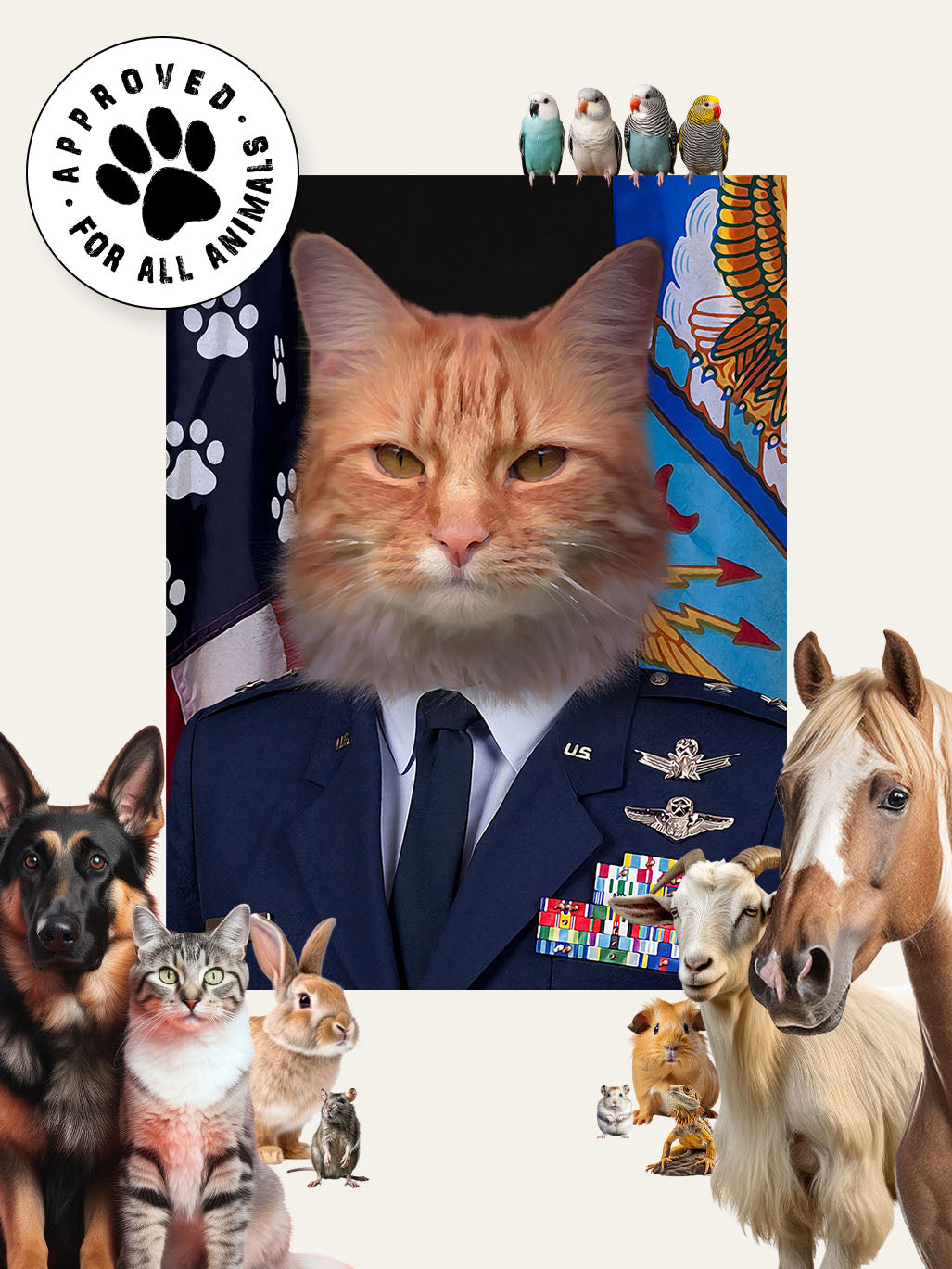 The Air Force General – Custom Pet Canvas