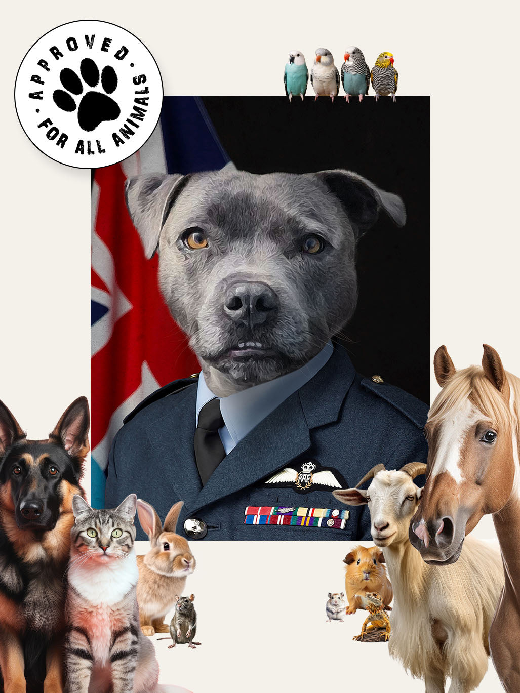The RAF Officer - Custom Pet Portrait