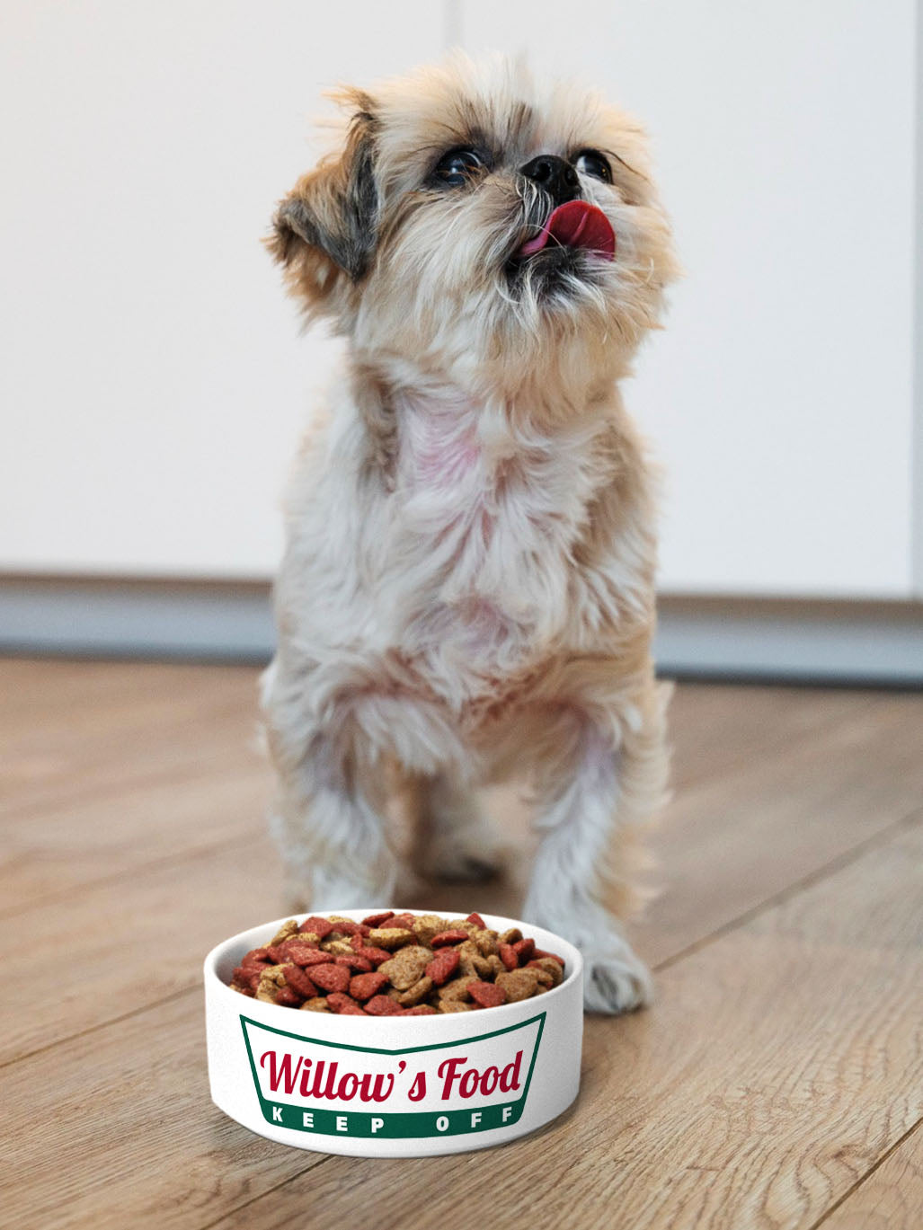 Treat Day - Personalised Pet Bowl