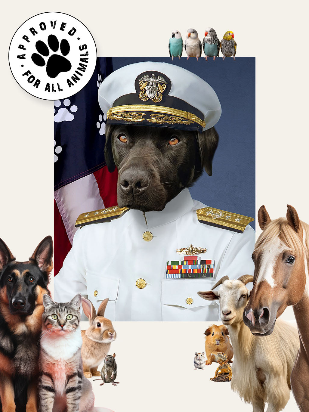 The US Navy Officer - Custom Pet Canvas
