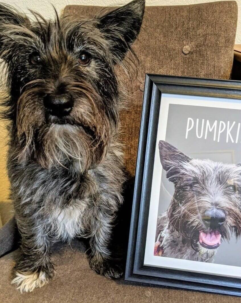 Classic - Custom Pet Portrait - Purr & Mutt