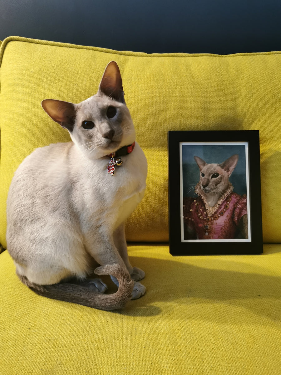 The Countess - Custom Vintage Pet Portrait