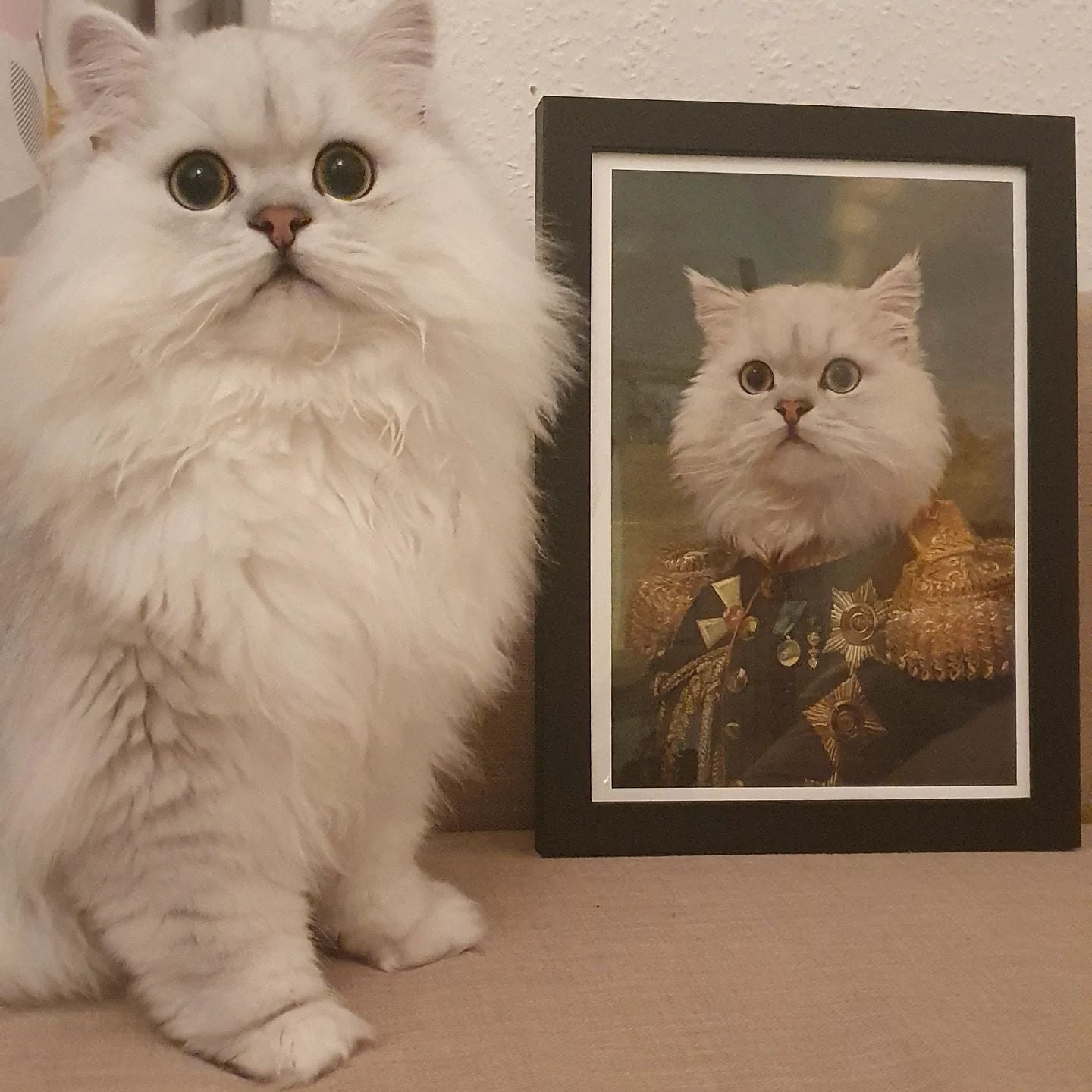 The General – Custom Vintage Pet Canvas