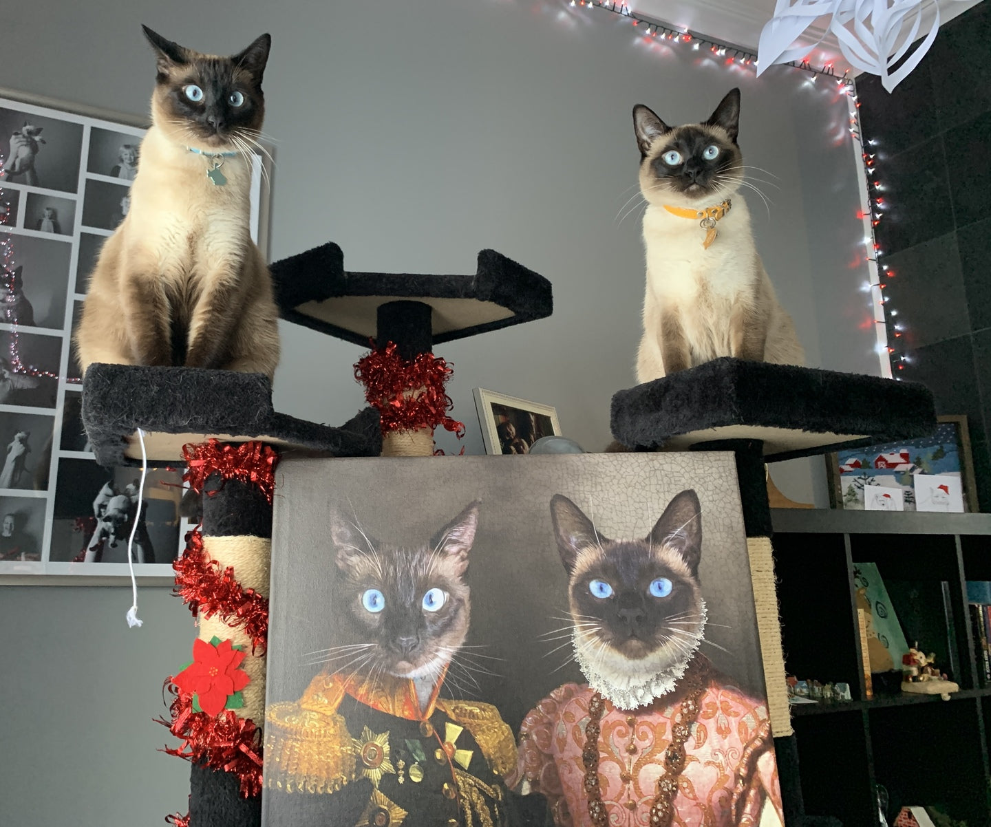 The General & The Duchess – Custom Vintage Pet Canvas
