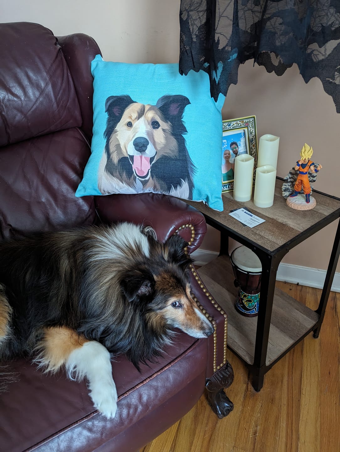 Modern - Custom Pet Cushion