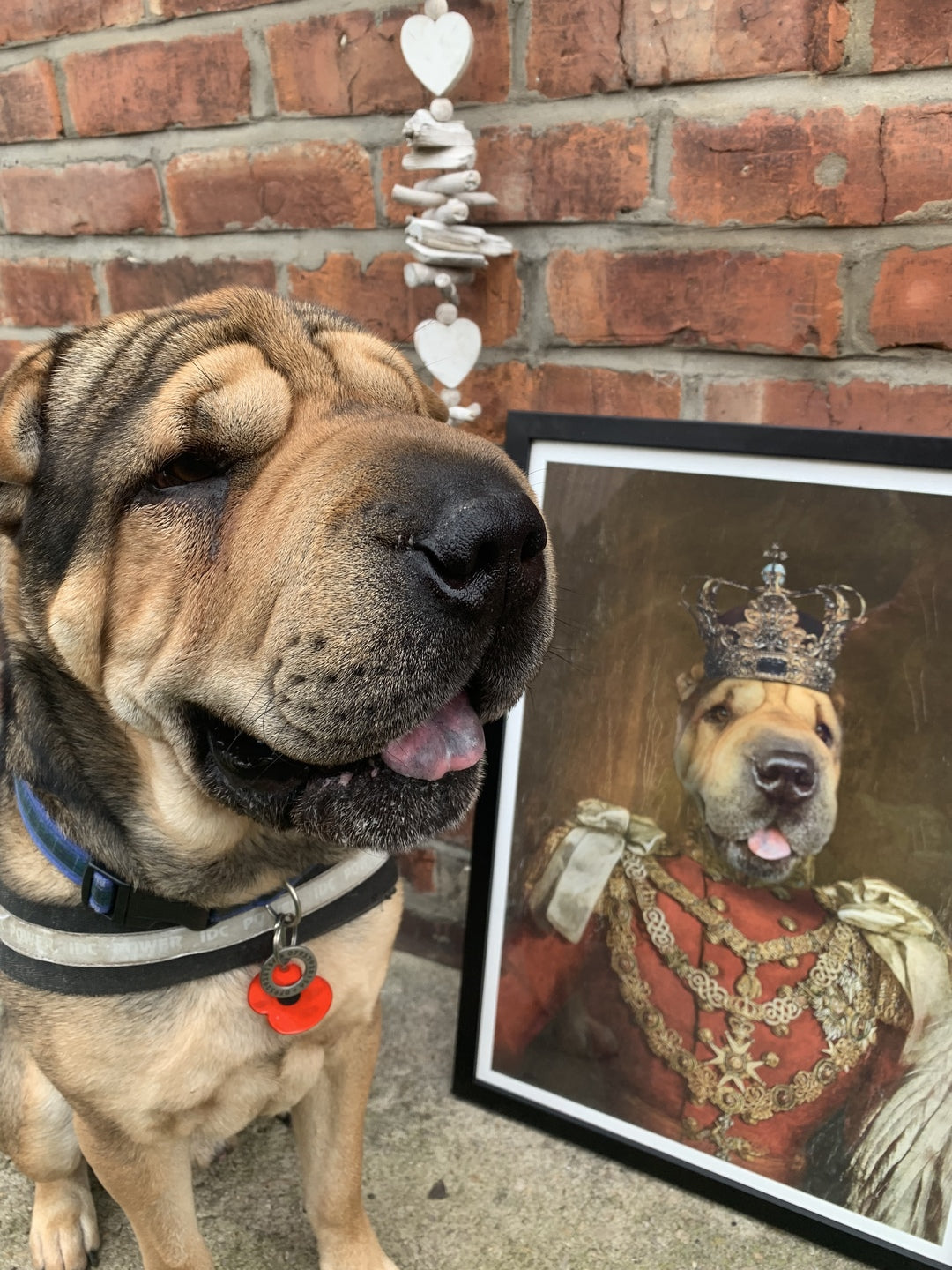 The Prince - Custom Vintage Pet Canvas