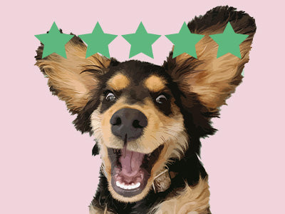 5 Star Reviews Pet Portraits