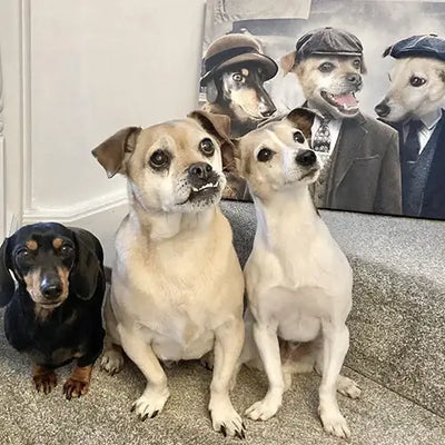 Pet Portrait for 3 Dogs