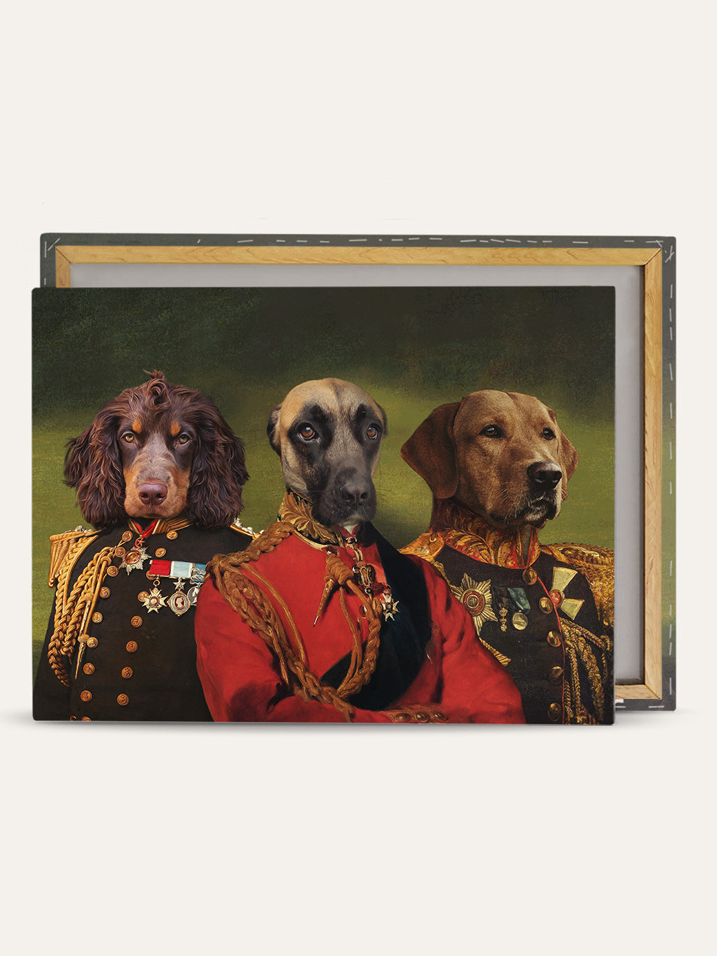 The Earl, Ambassador & The General - Custom Pet Canvas