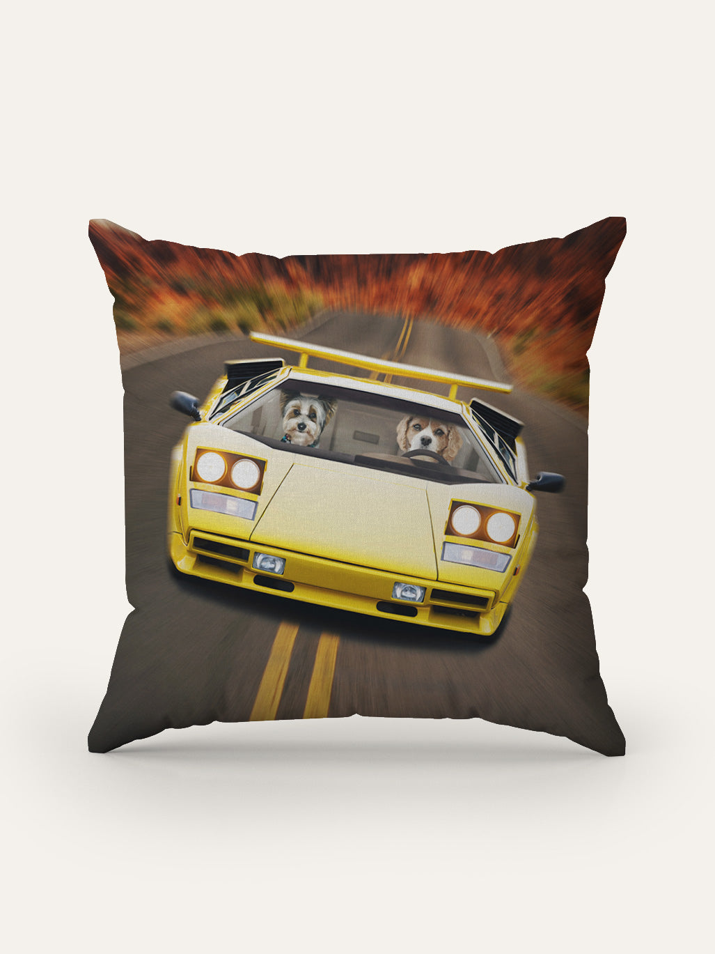 Hypercar - Custom Pet Cushion