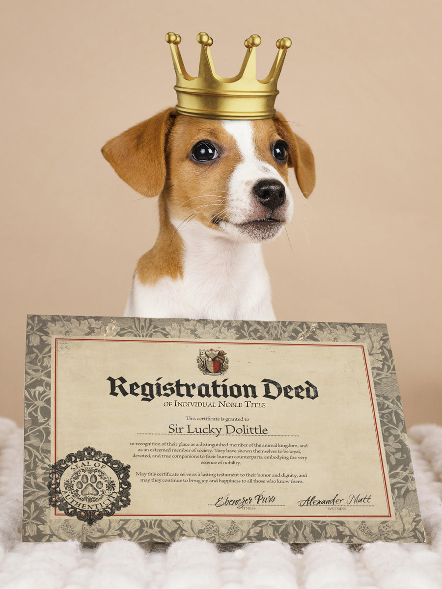Your Pet's Noble Title Certificate