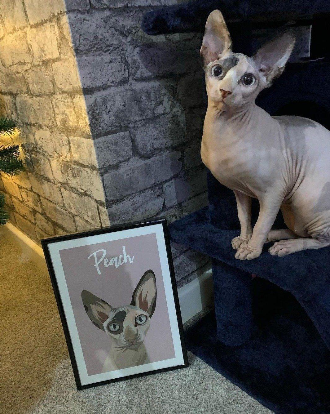 Modern - Custom Pet Portrait - Purr & Mutt