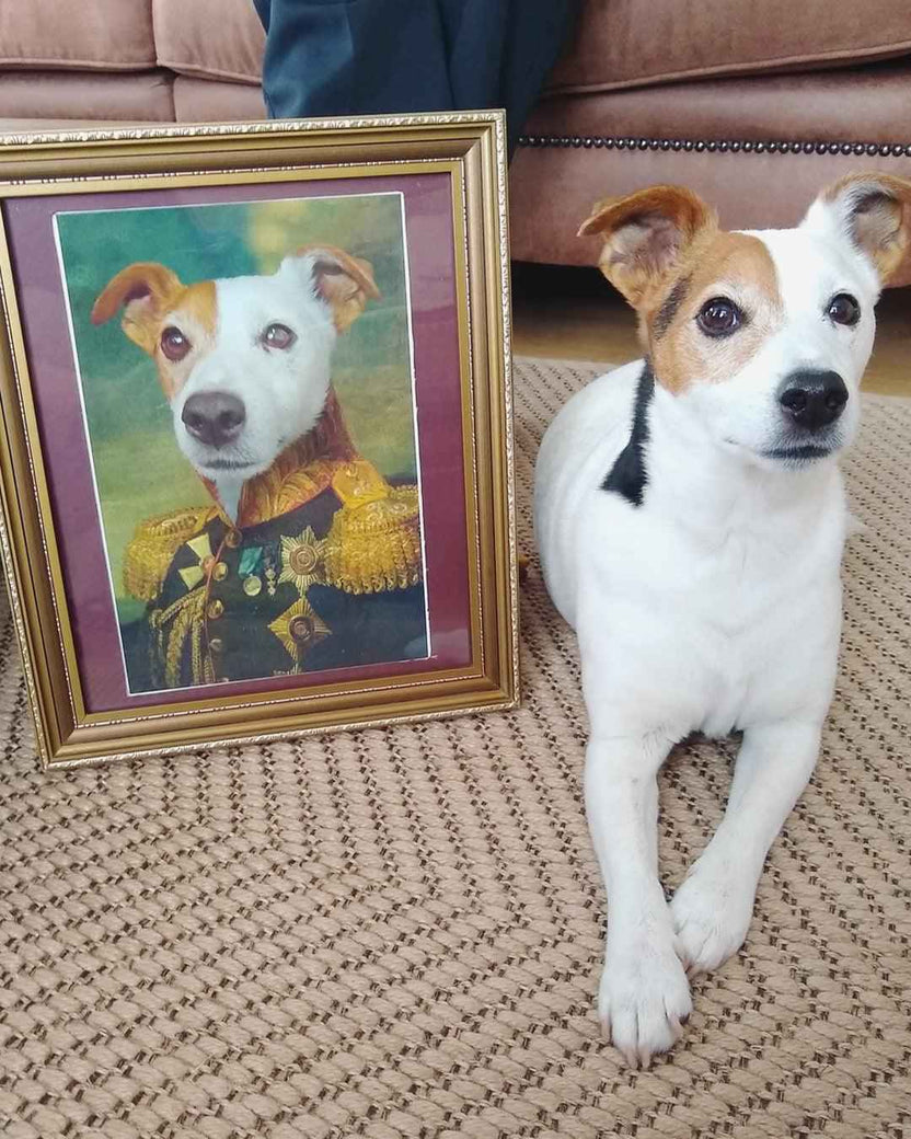 Custom General Pet Portrait